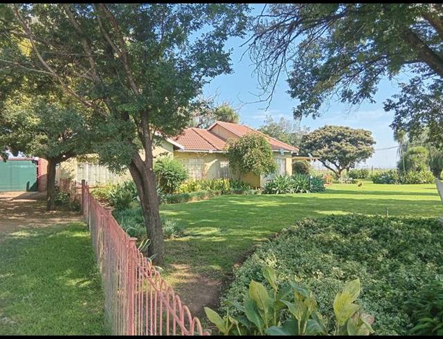 FARM FOR SALE IN SCHOONGEZICHT